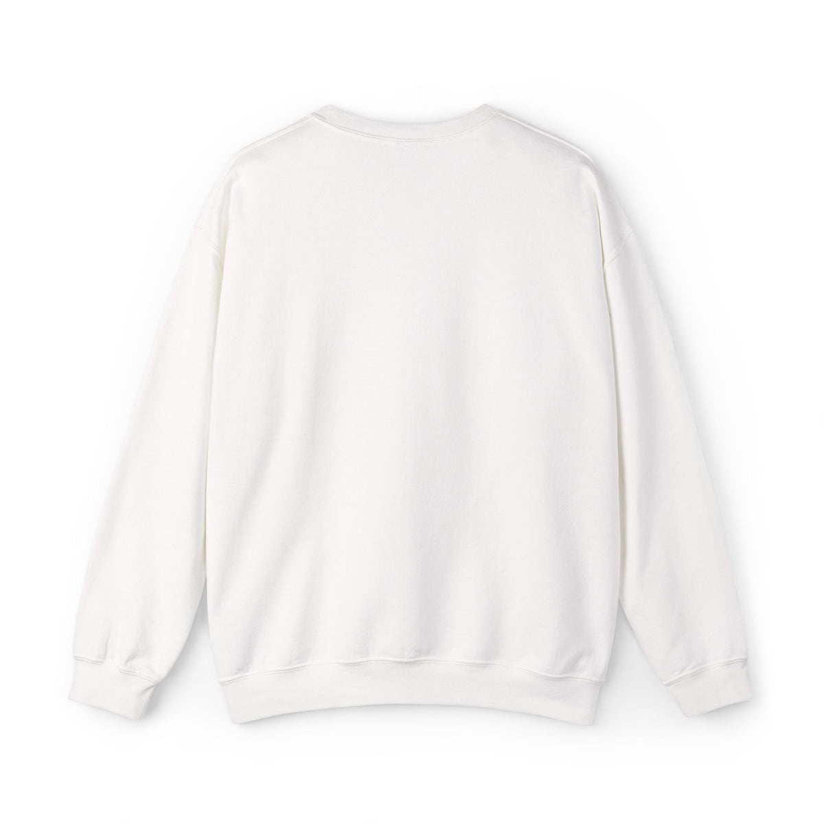 “Go Birds! No Other Words.” Embroidered Minimalist unisex Crewneck Sweatshirt